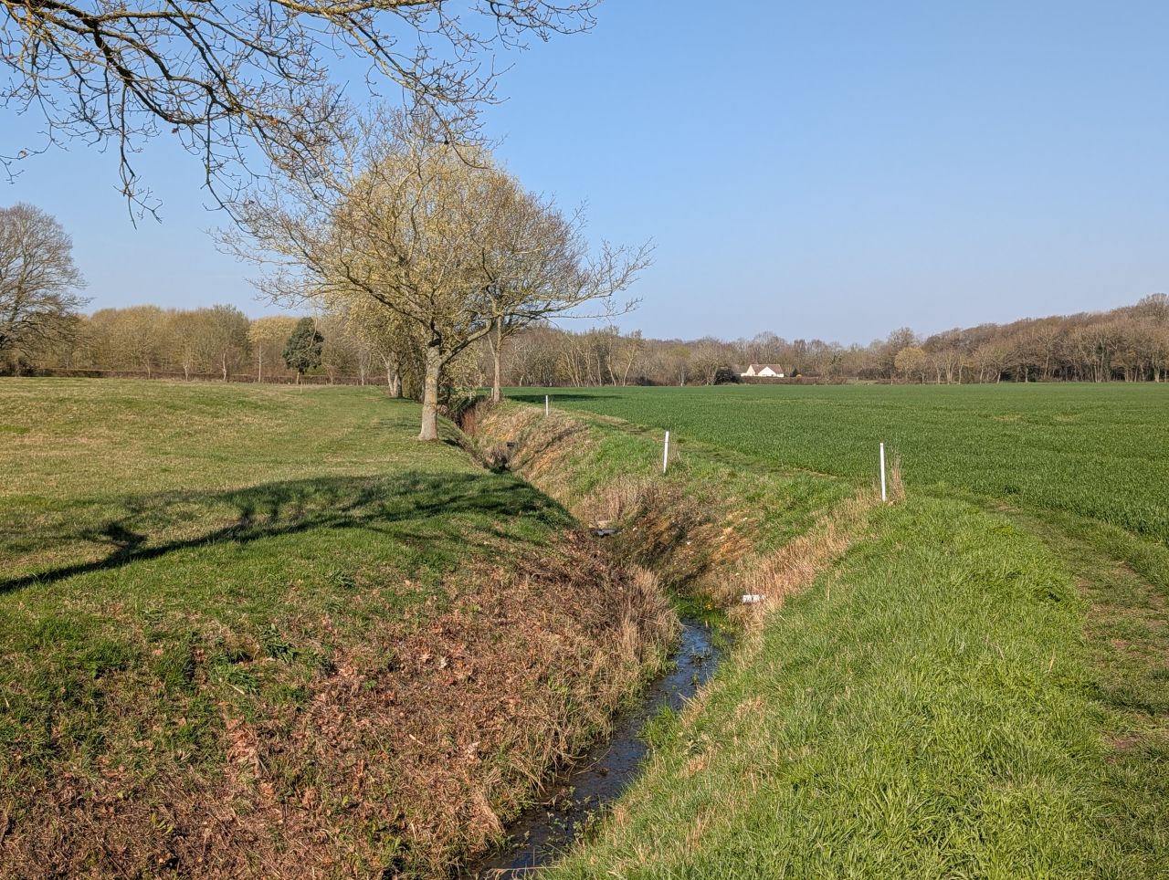 2026-03-19 04 Boxford and Hadleigh Heath.jpg