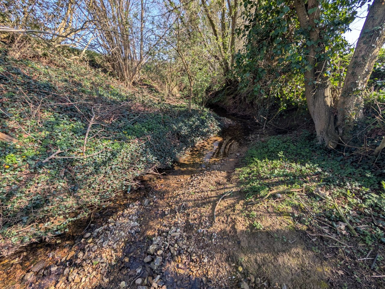 2026-03-19 09 Boxford and Hadleigh Heath.jpg
