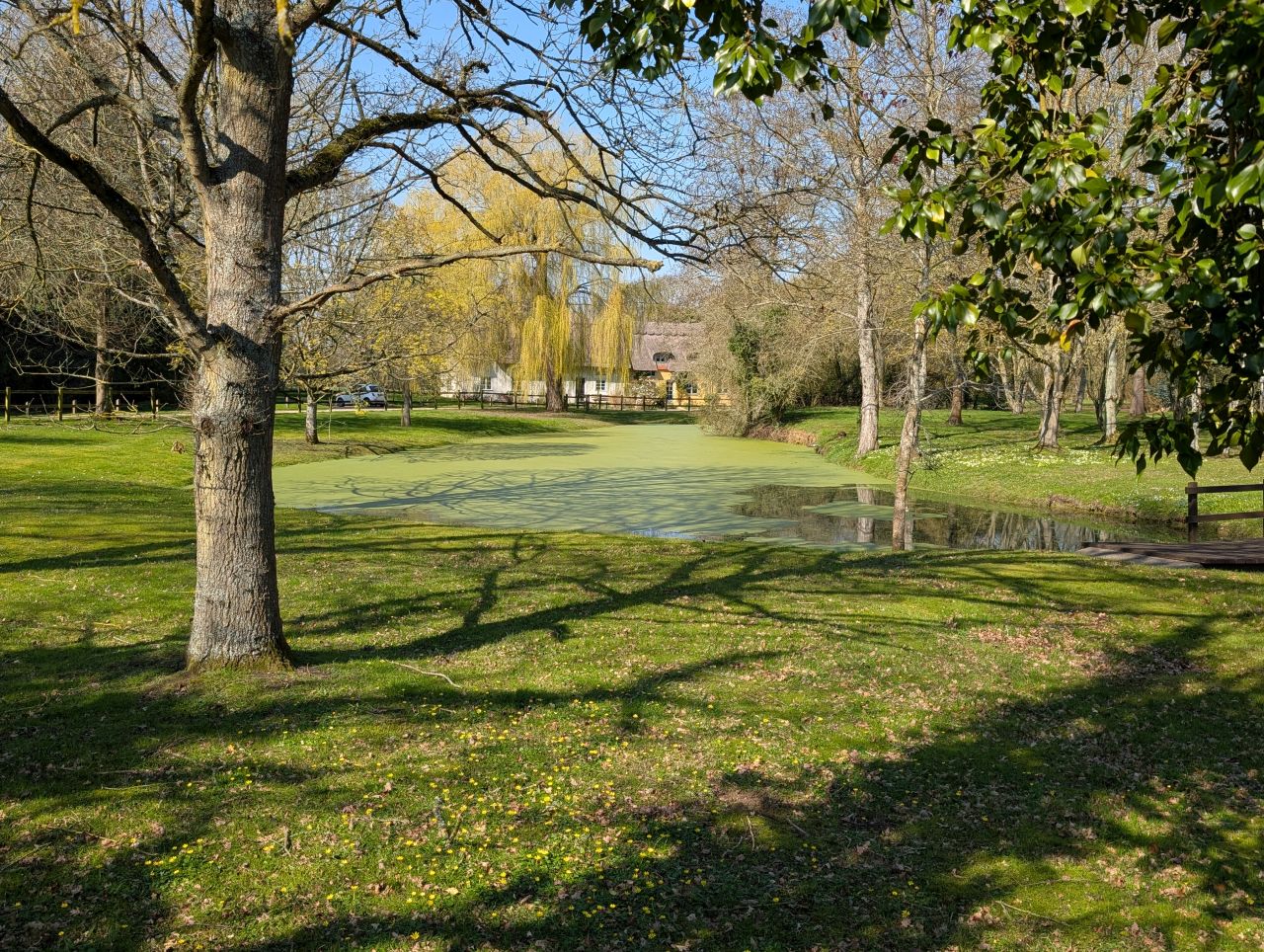 2026-03-19 13 Boxford and Hadleigh Heath.jpg