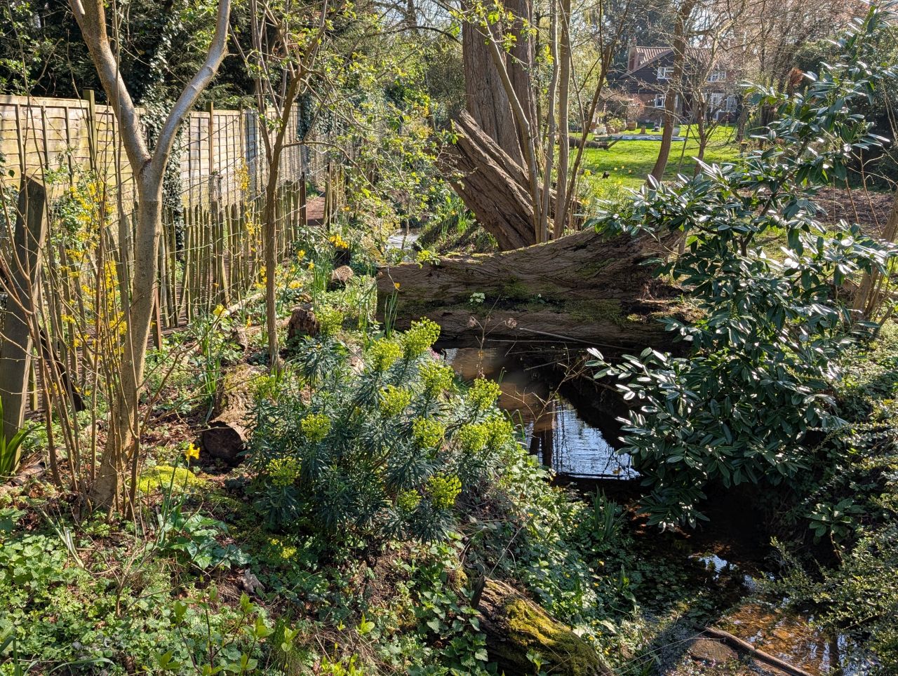 2026-03-19 15 Boxford and Hadleigh Heath.jpg