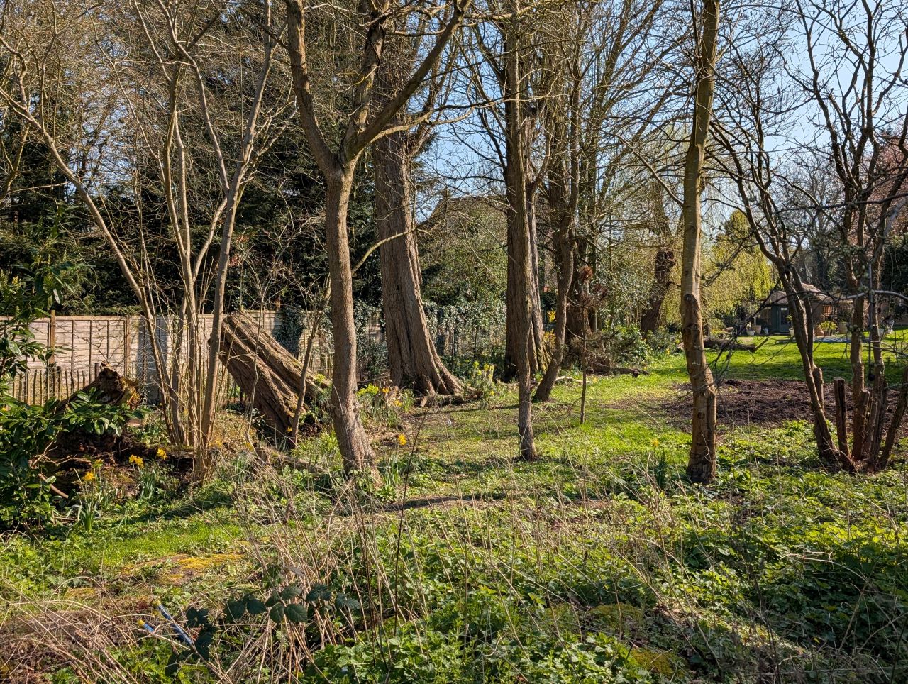 2026-03-19 16 Boxford and Hadleigh Heath.jpg