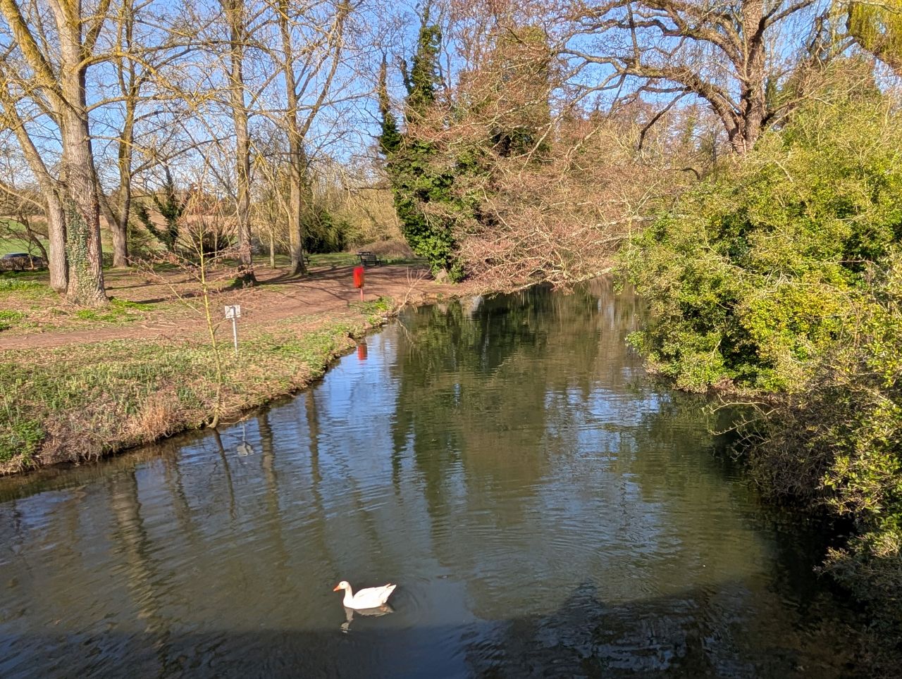 2026-03-21 33 Hadleigh Heath and Hadleigh.jpg