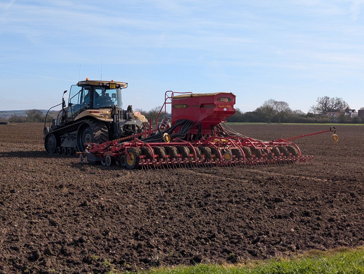 2026-03-21 38 Hadleigh Heath and Hadleigh.jpg