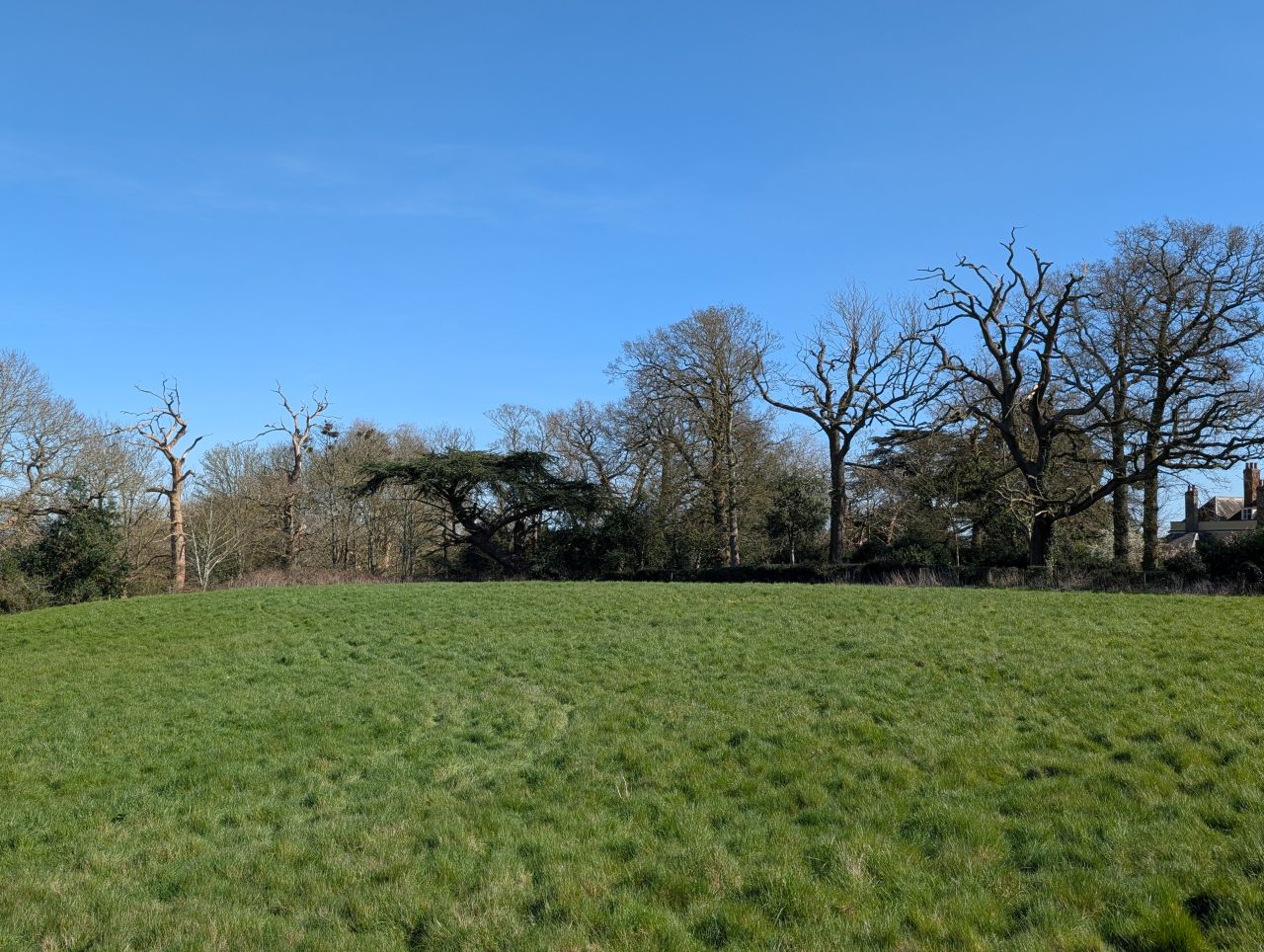 2026-03-21 45 Hadleigh Heath and Hadleigh.jpg