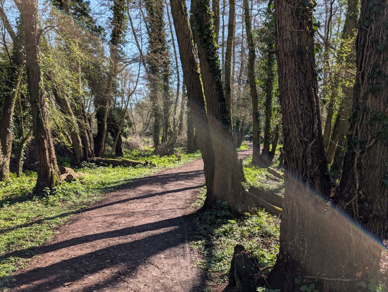 2026-03-21 50 Hadleigh Heath and Hadleigh.jpg