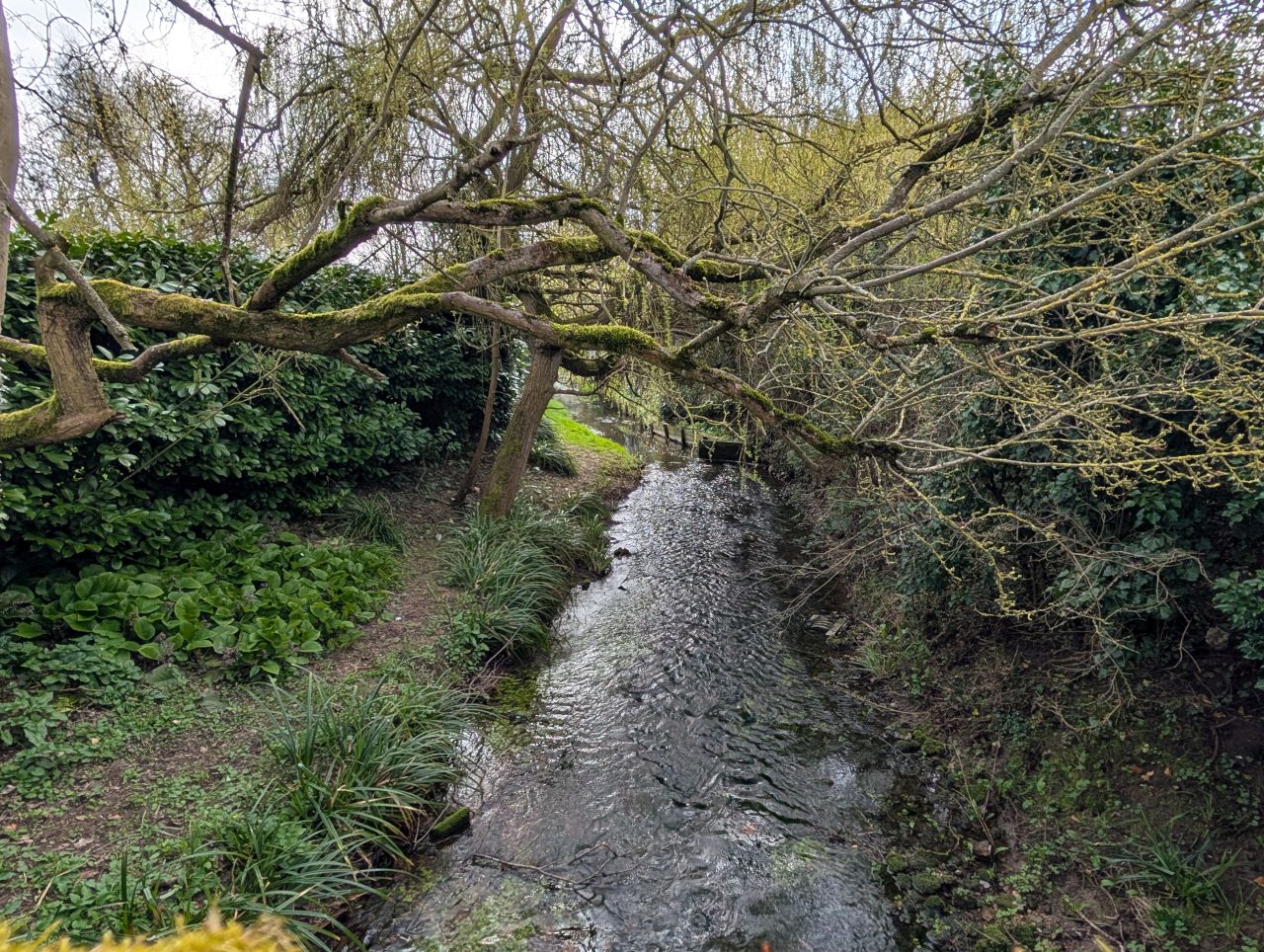 2026-03-22 11 Monks Eleigh to Lavenham.jpg