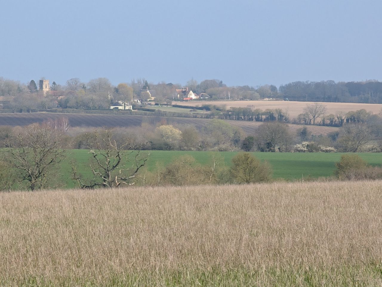 2026-03-22 19 Monks Eleigh to Lavenham.jpg
