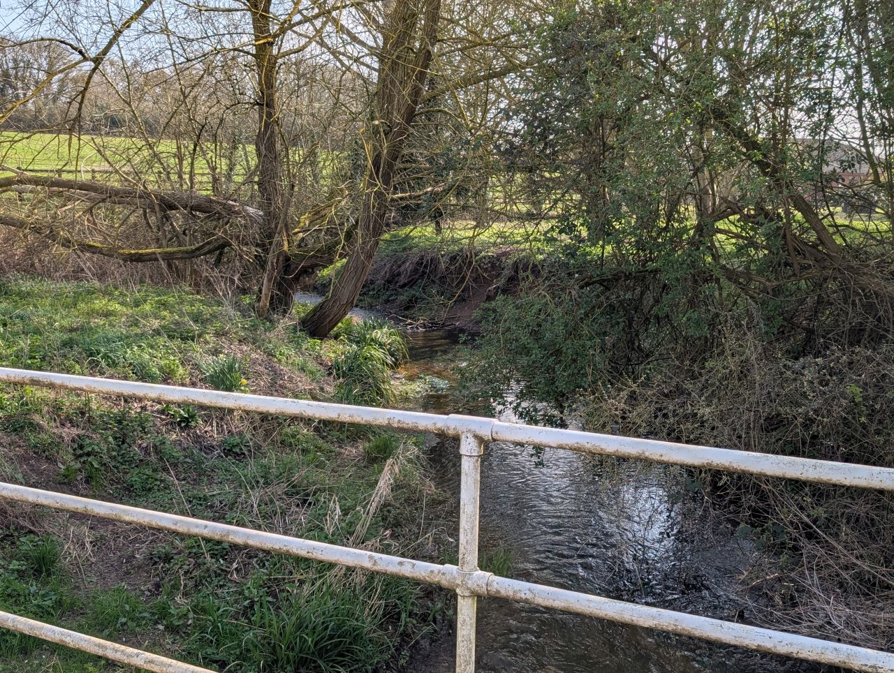 2026-03-22 22 Monks Eleigh to Lavenham.jpg