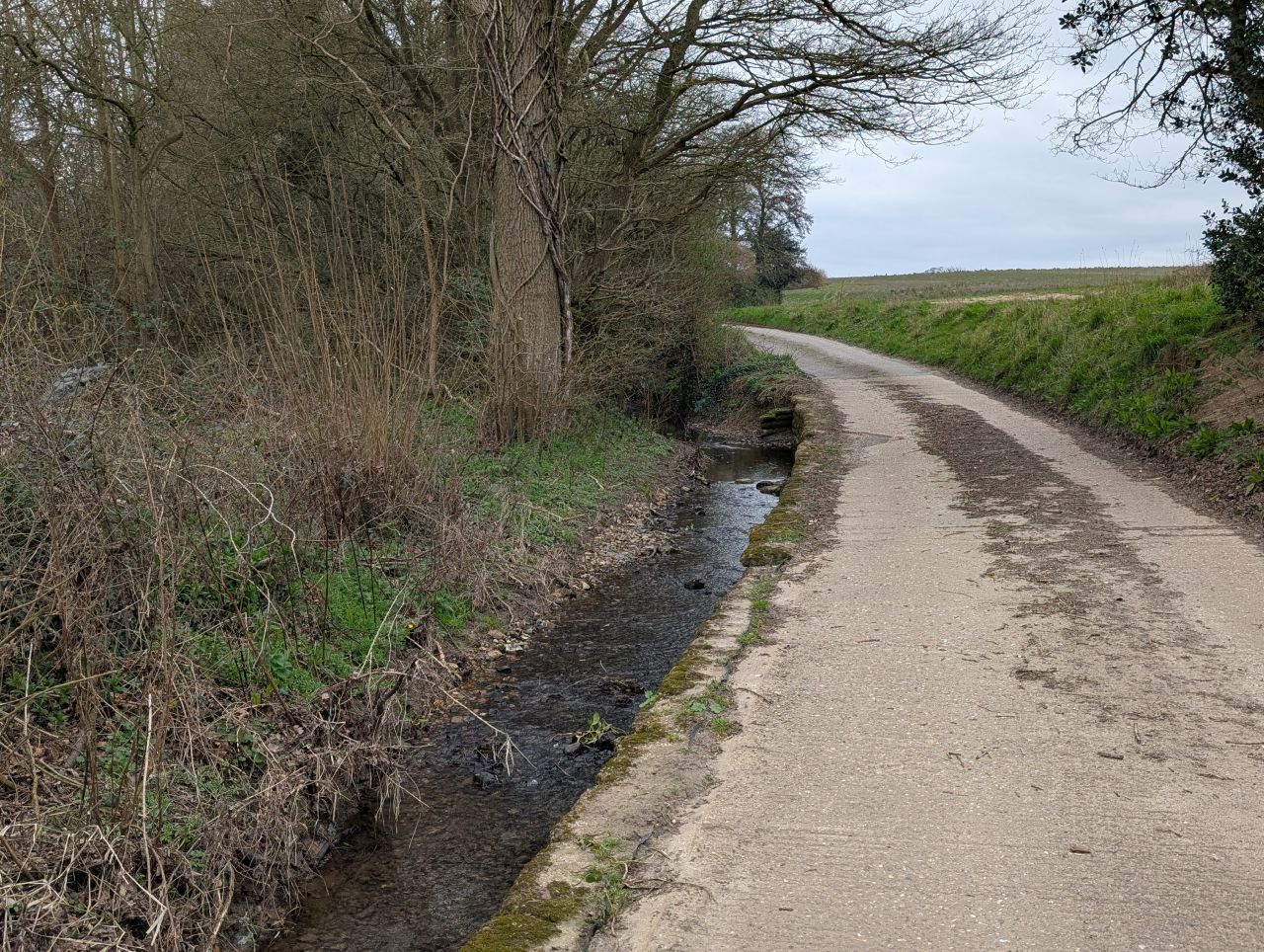 2026-03-24 09 Hadleigh to Kersey.jpg