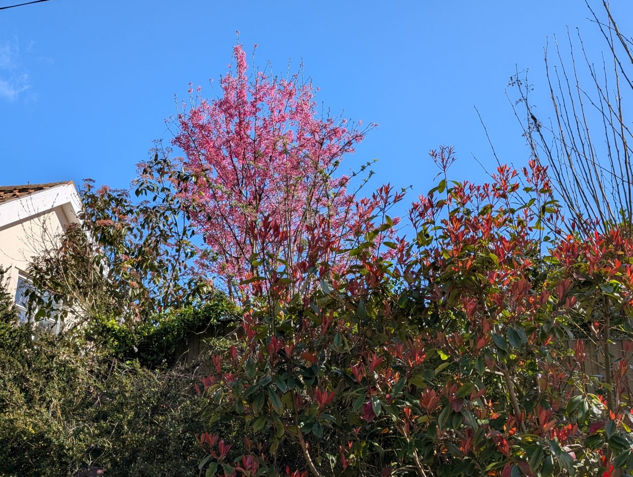 2026-03-26 13 Kersey to Monks Eleigh.jpg