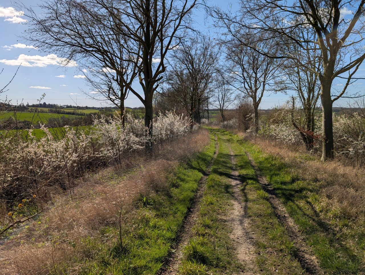 2026-03-26 39 Kersey to Monks Eleigh.jpg