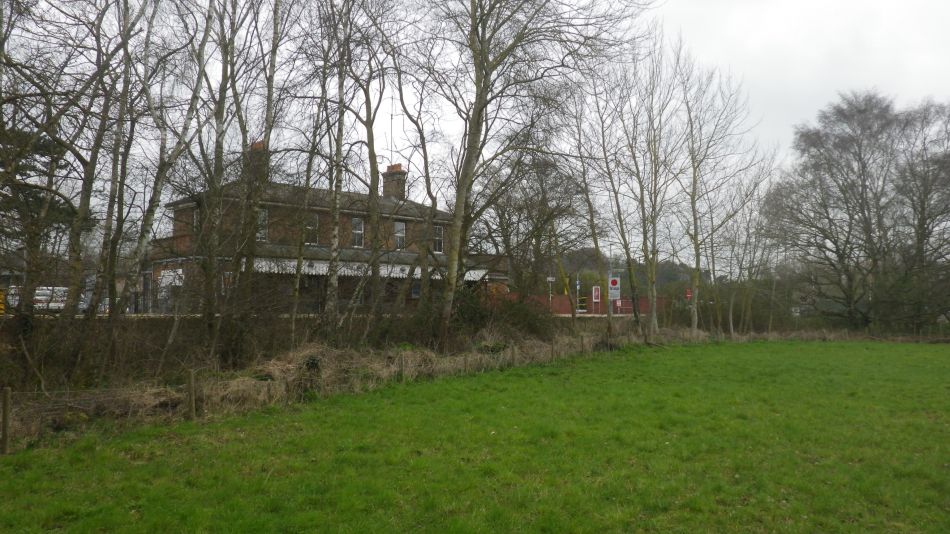 2020-03-19 02 Sandlings 4 Melton.jpg