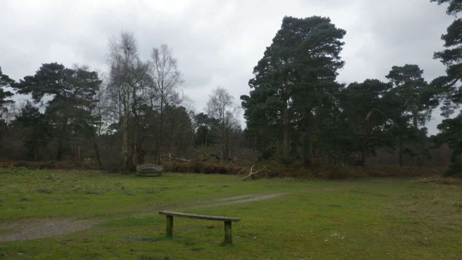 2020-03-19 07 Sandlings 4 Melton.jpg