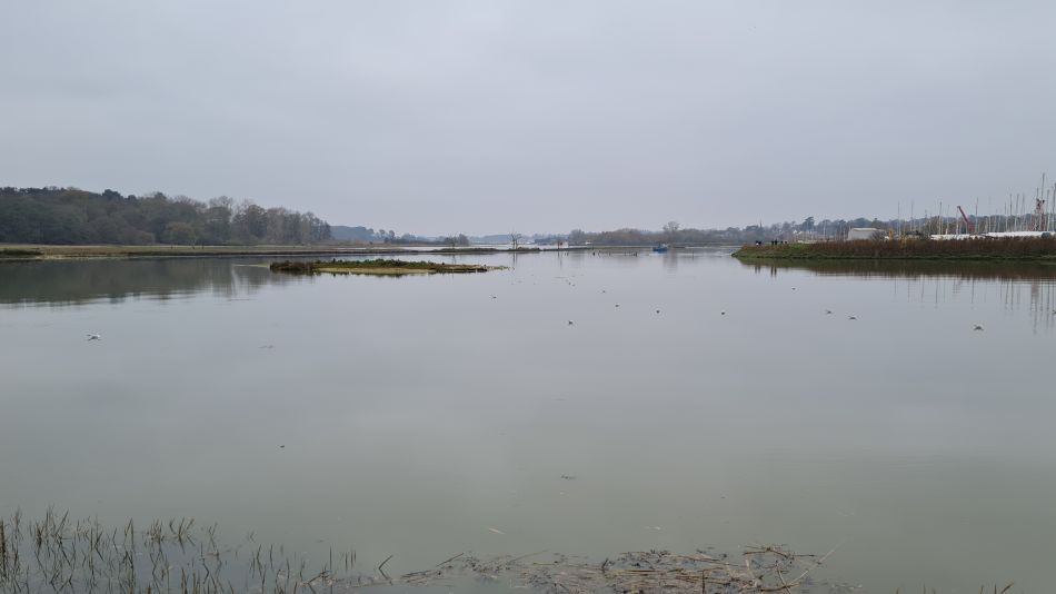 2020-09-17 01 Suffolk Creeks South Sutton Hoo.jpg