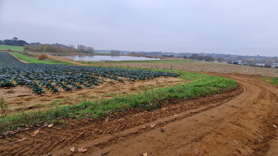 2020-09-17 14 Suffolk Creeks South Sutton Hoo.jpg