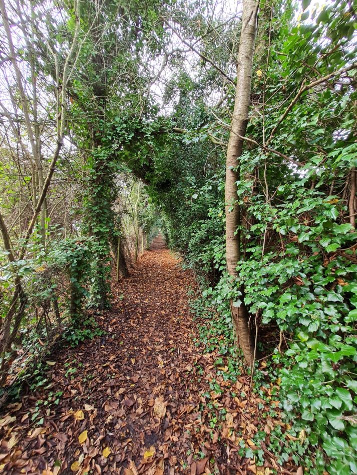 2020-11-26 11 Suffolk Creeks South Melton and Woodbridge.jpg