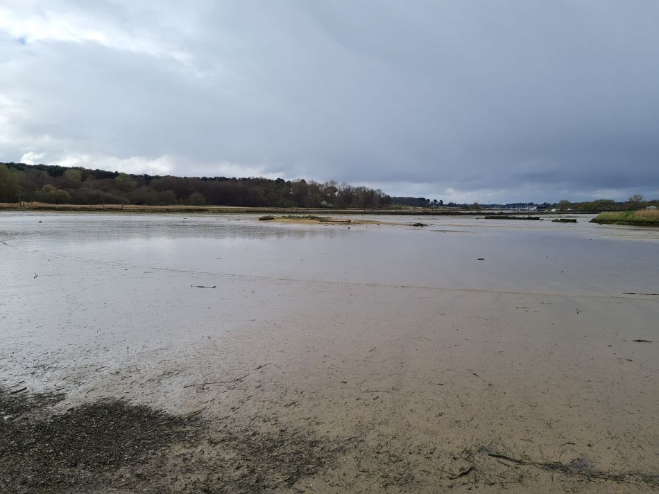 2021-04-15 01 Sandlings 04.jpg