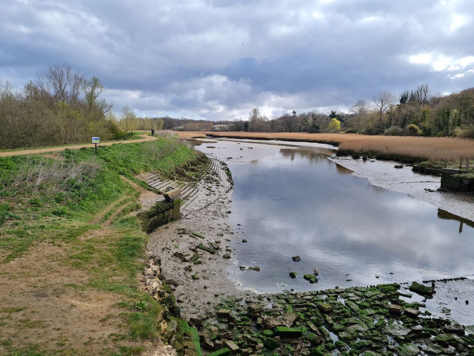 2021-04-15 03 Sandlings 04.jpg