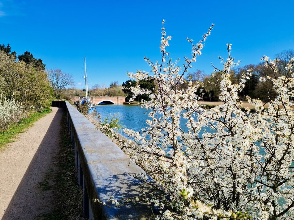 2021-04-15 10 Sandlings 04.jpg