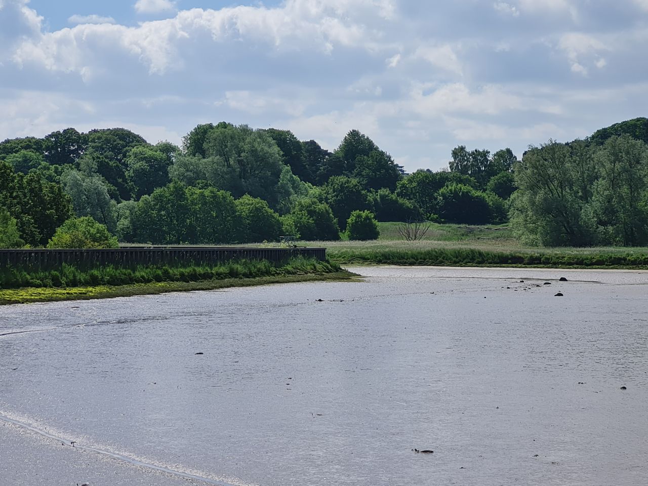 2024-06-09 08 Melton and Woodbridge.jpg