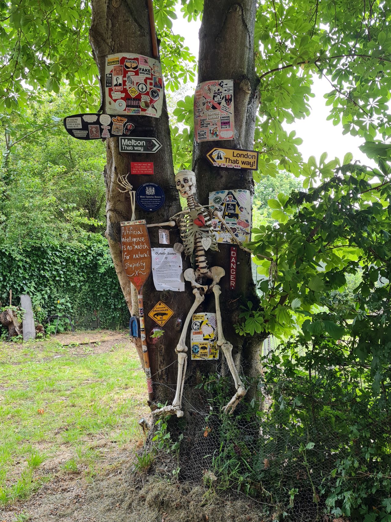 2024-06-09 18 Melton and Woodbridge.jpg