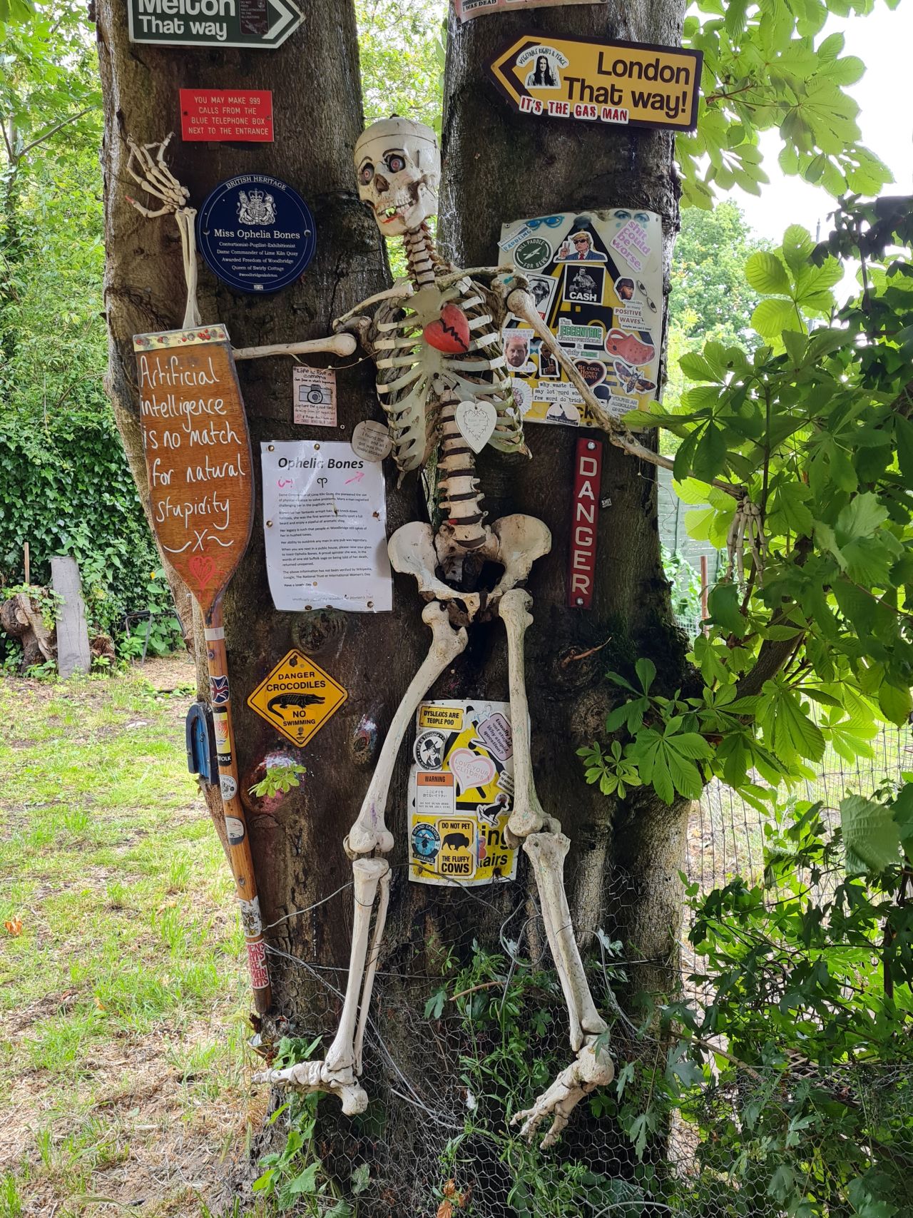 2024-06-09 19 Melton and Woodbridge.jpg