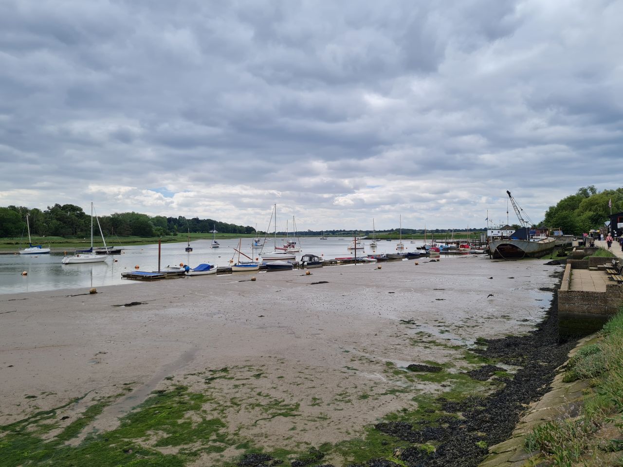 2024-06-09 28 Melton and Woodbridge.jpg