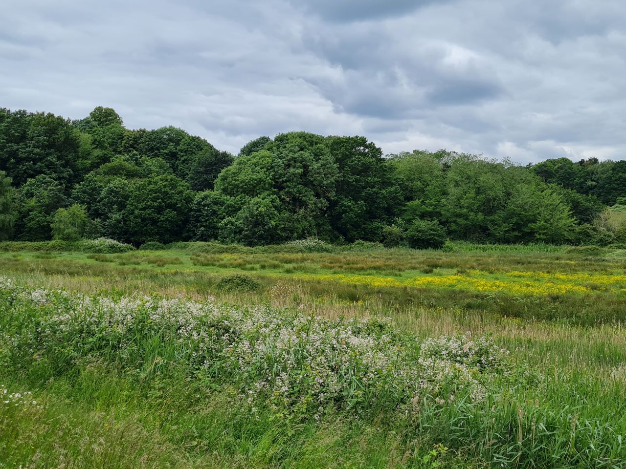 2024-06-09 35 Melton and Woodbridge.jpg