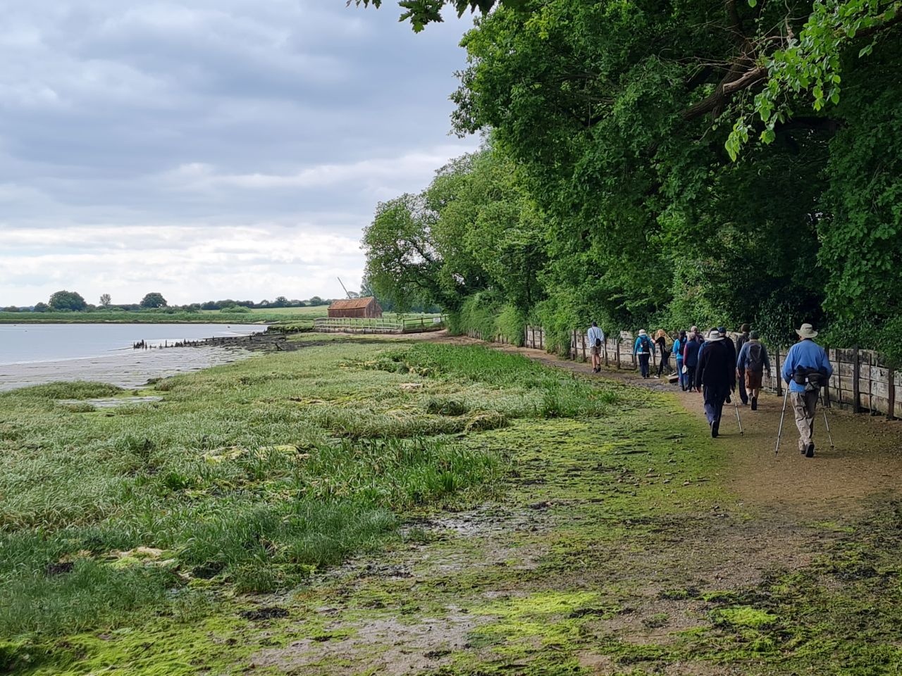 2024-06-09 37 Melton and Woodbridge.jpg