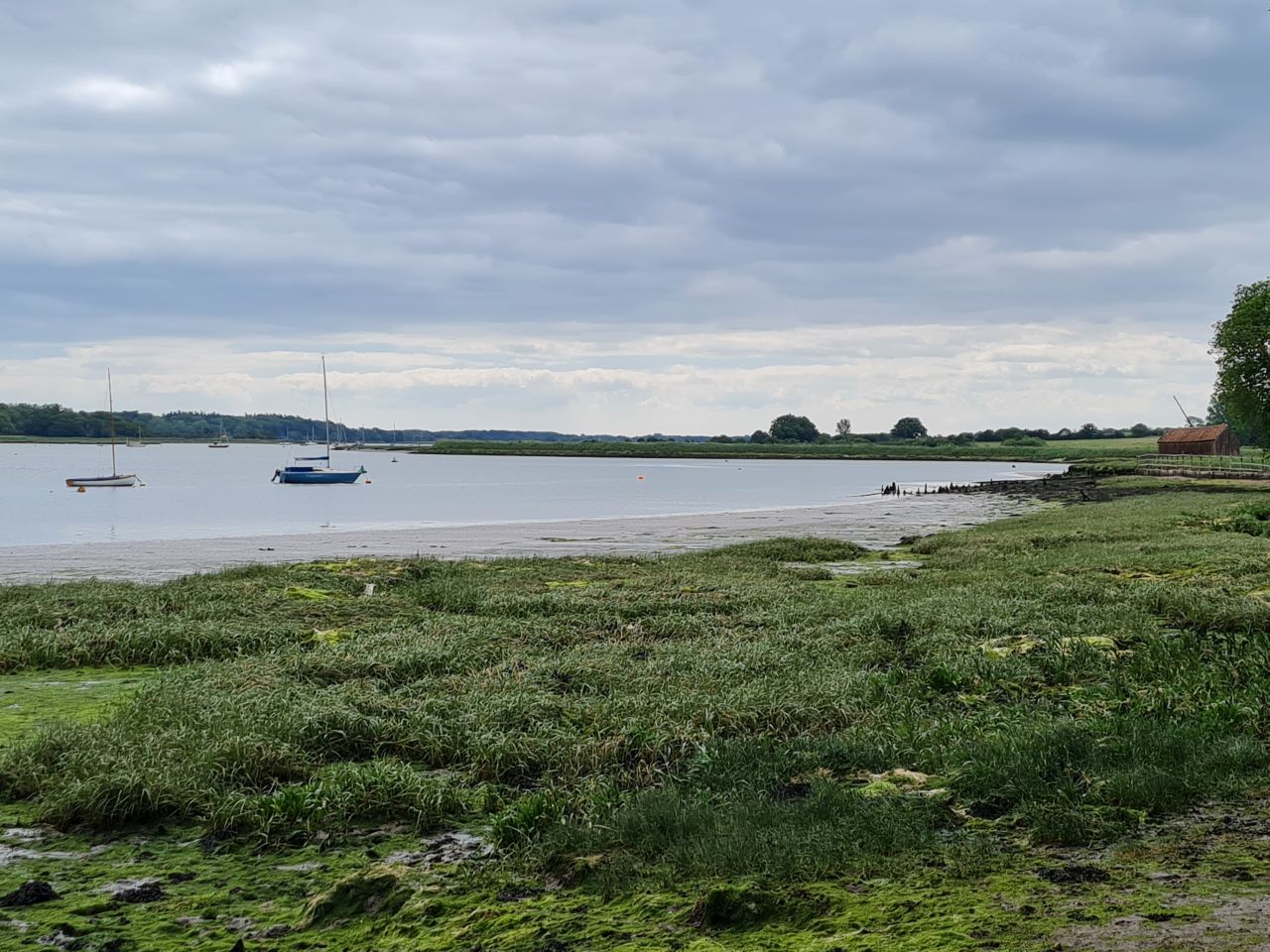 2024-06-09 38 Melton and Woodbridge.jpg