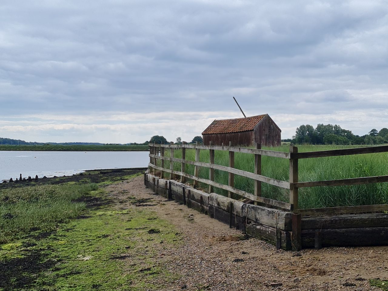 2024-06-09 39 Melton and Woodbridge.jpg