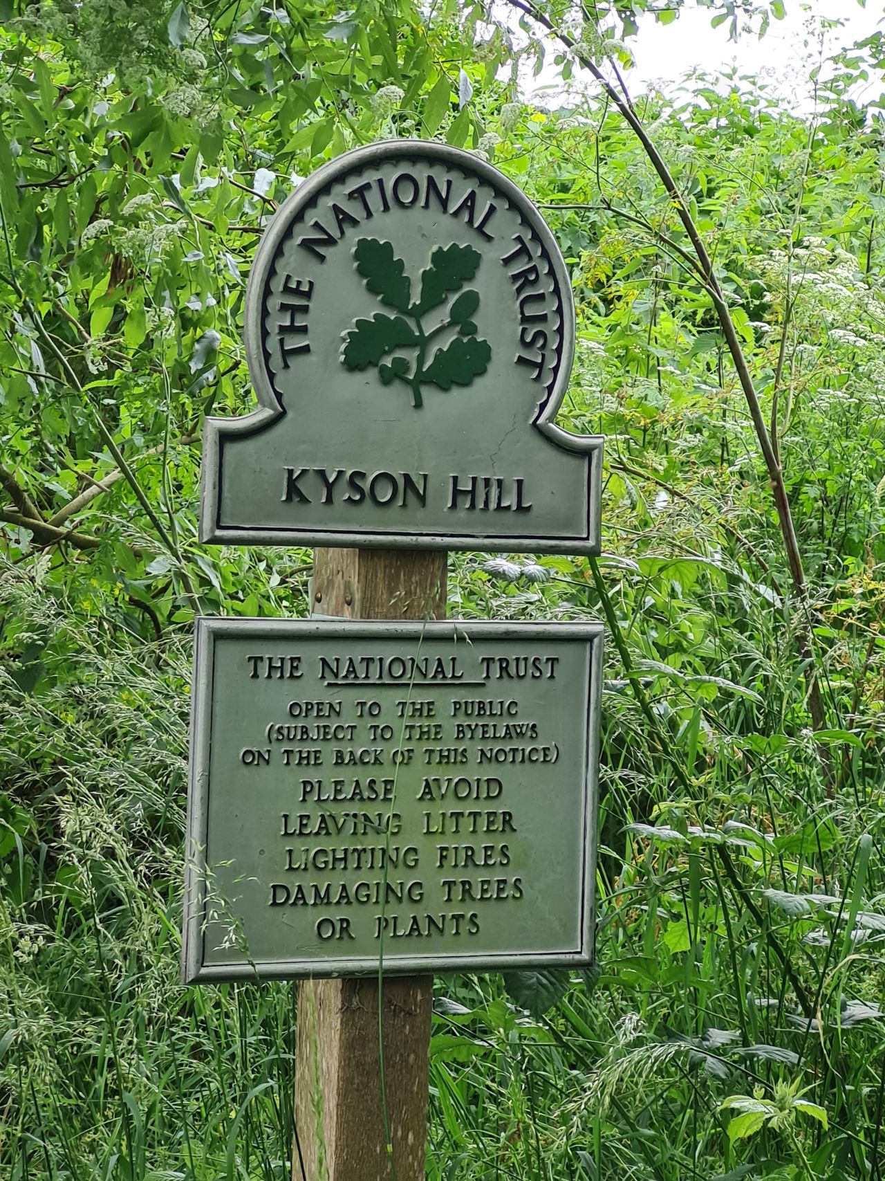 2024-06-09 41 Melton and Woodbridge.jpg