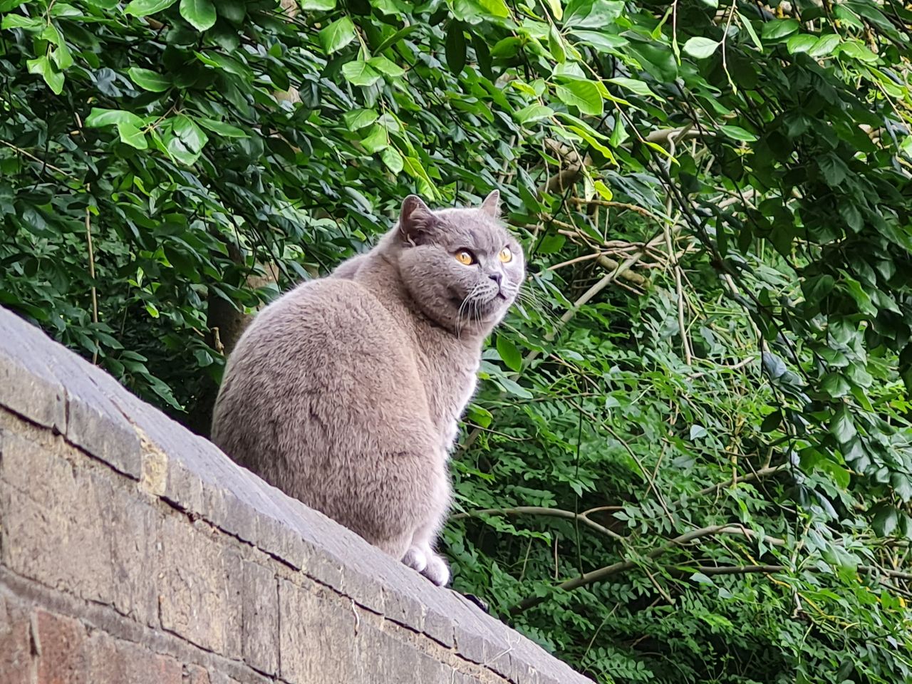 2024-06-09 52 Melton and Woodbridge.jpg