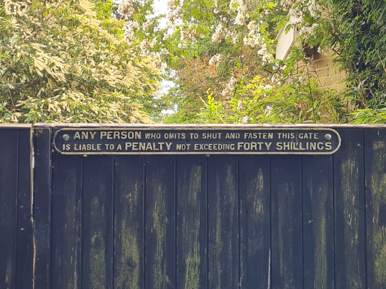 2024-06-09 53 Melton and Woodbridge.jpg