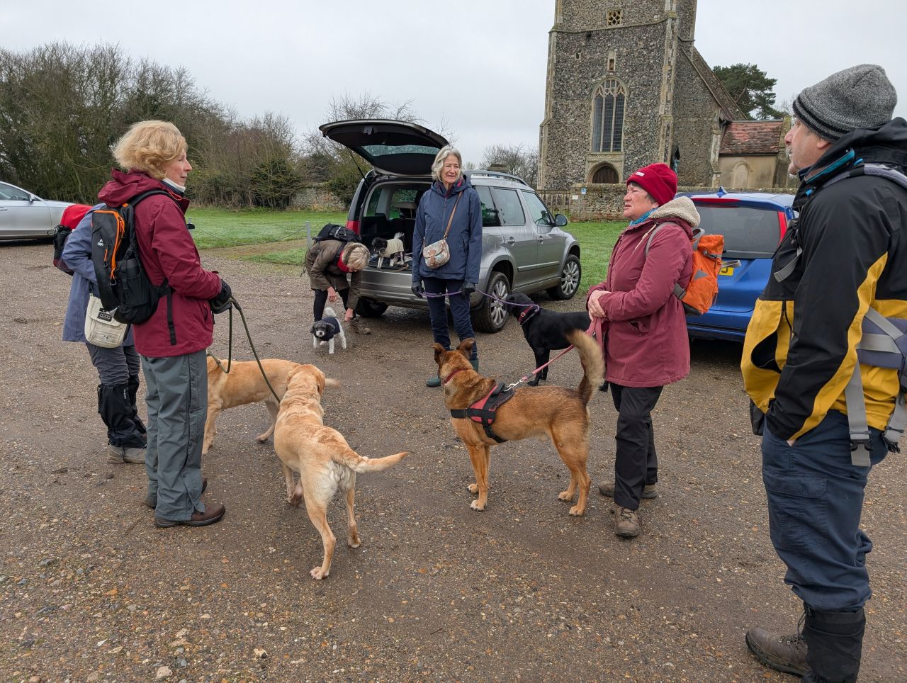 2026-01-13 01 Broome Dog Walk.jpg
