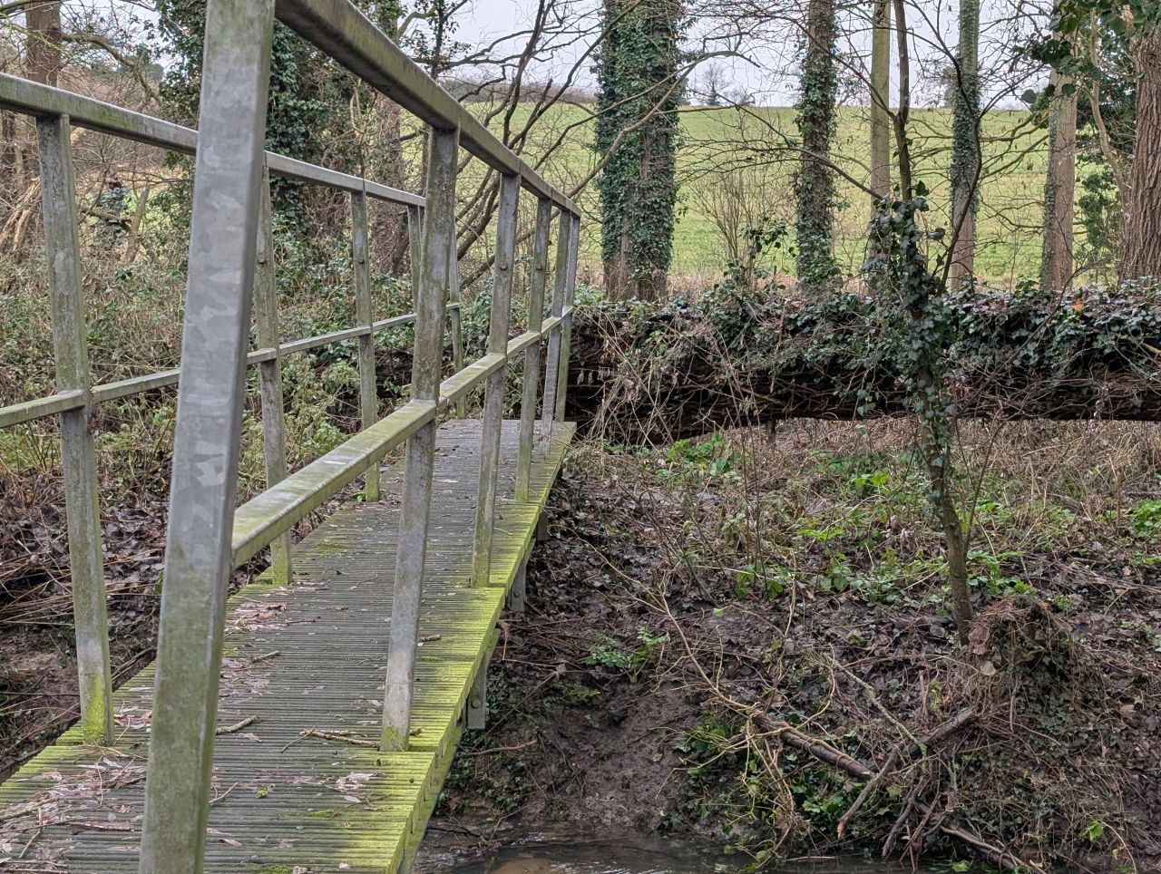 2026-01-13 05 Broome Dog Walk.jpg