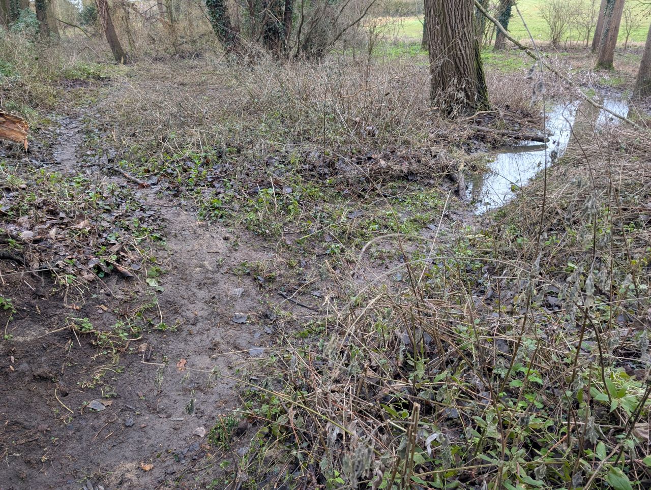 2026-01-13 08 Broome Dog Walk.jpg