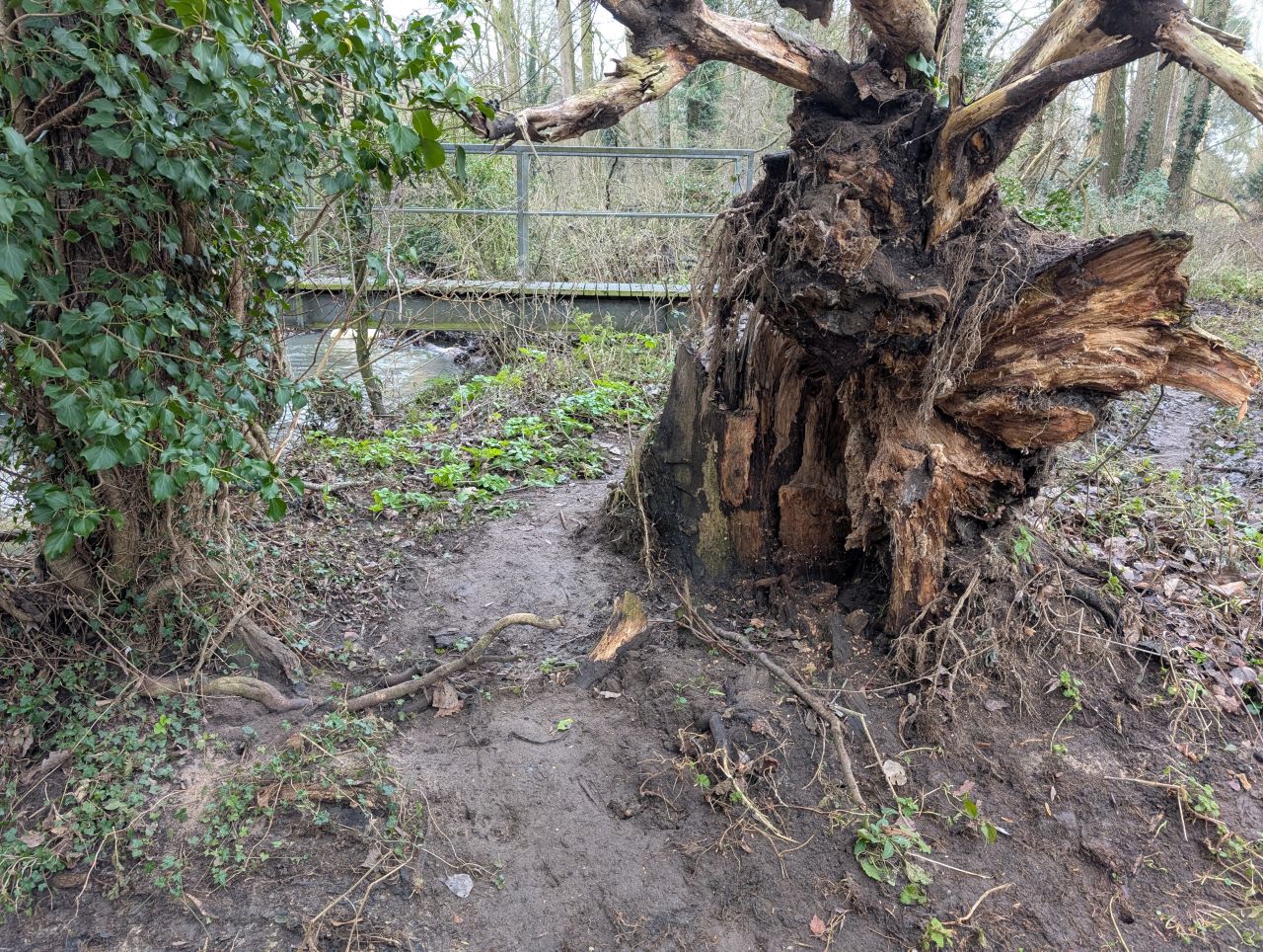 2026-01-13 09 Broome Dog Walk.jpg