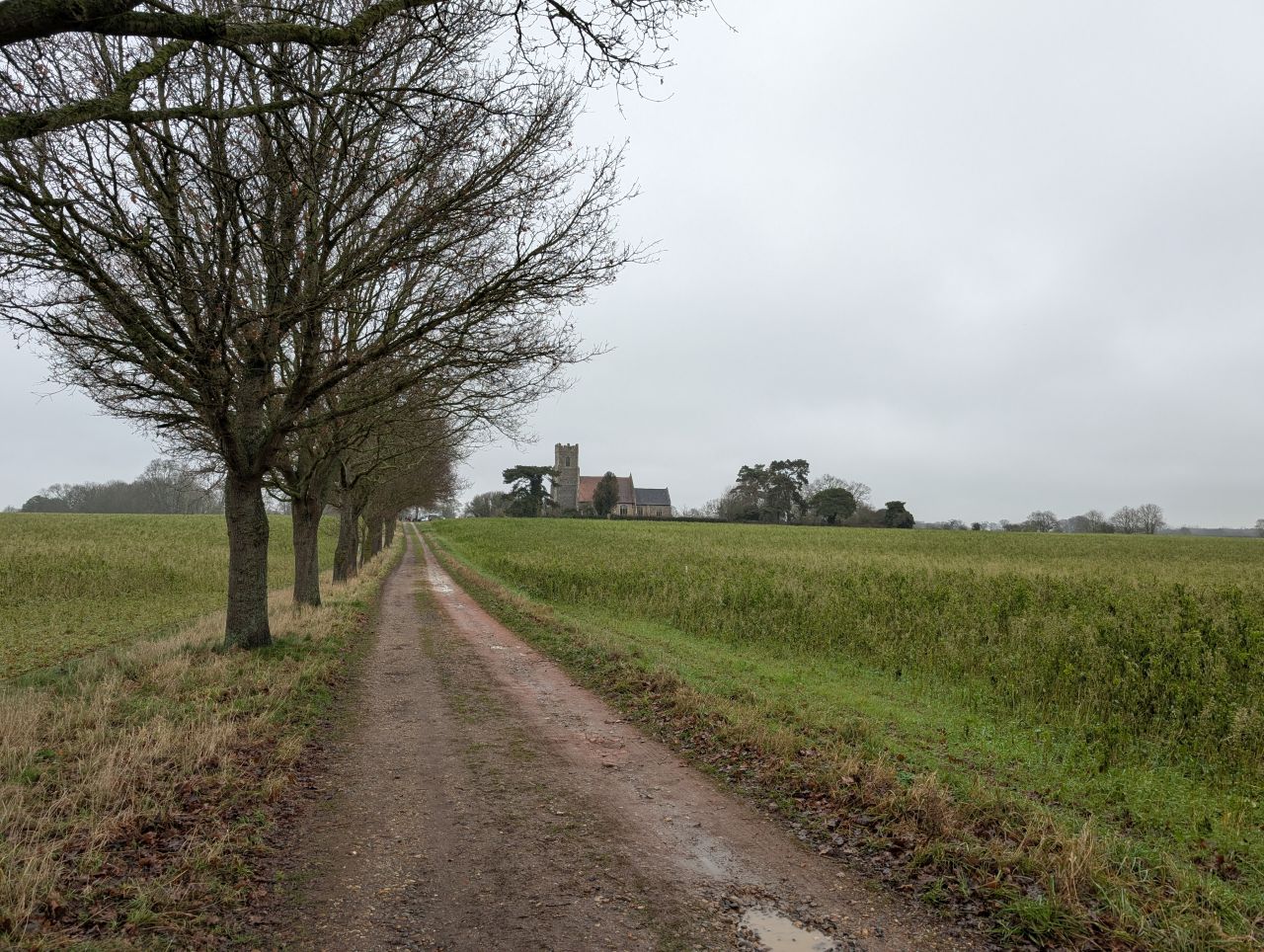 2026-01-13 12 Broome Dog Walk.jpg