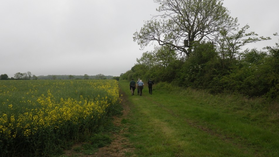 2017-05-17 05 Bramfield Area.jpg