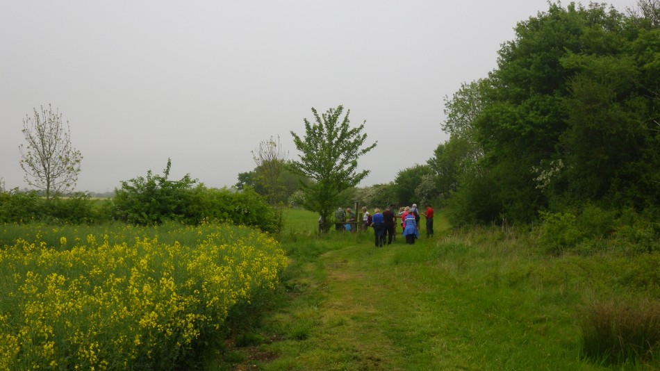 2017-05-17 08 Bramfield Area.jpg