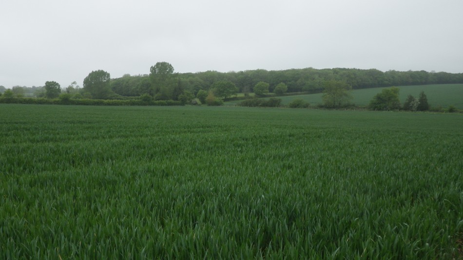 2017-05-17 09 Bramfield Area.jpg