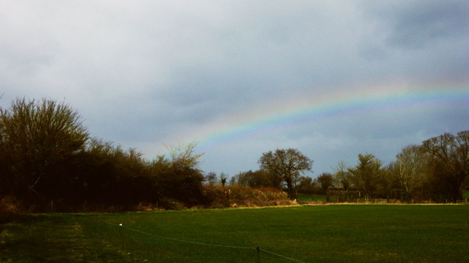 2019-03-13 10 Bramfield Rainbow.JPG