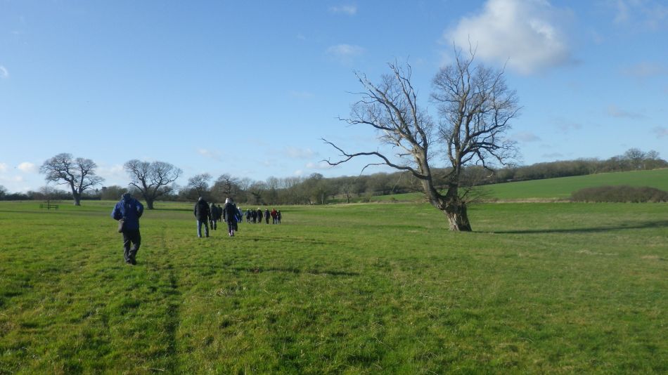 2020-02-12 01 Bramfield.jpg