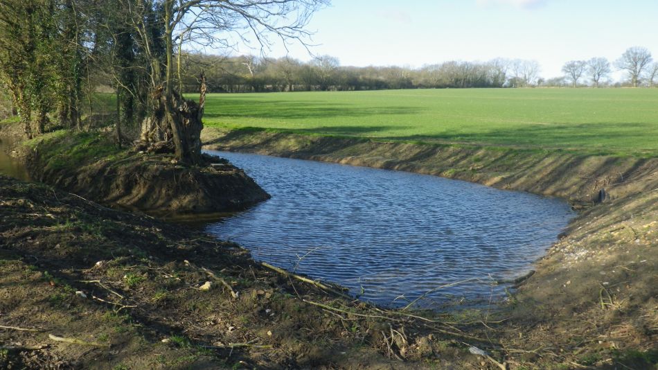 2020-02-12 02 Bramfield.jpg