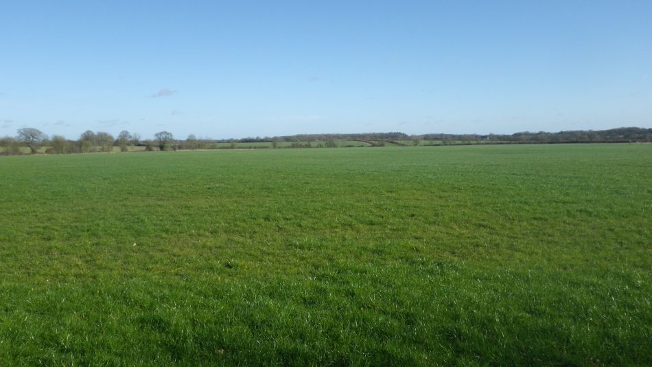 2020-02-12 04 Bramfield.jpg