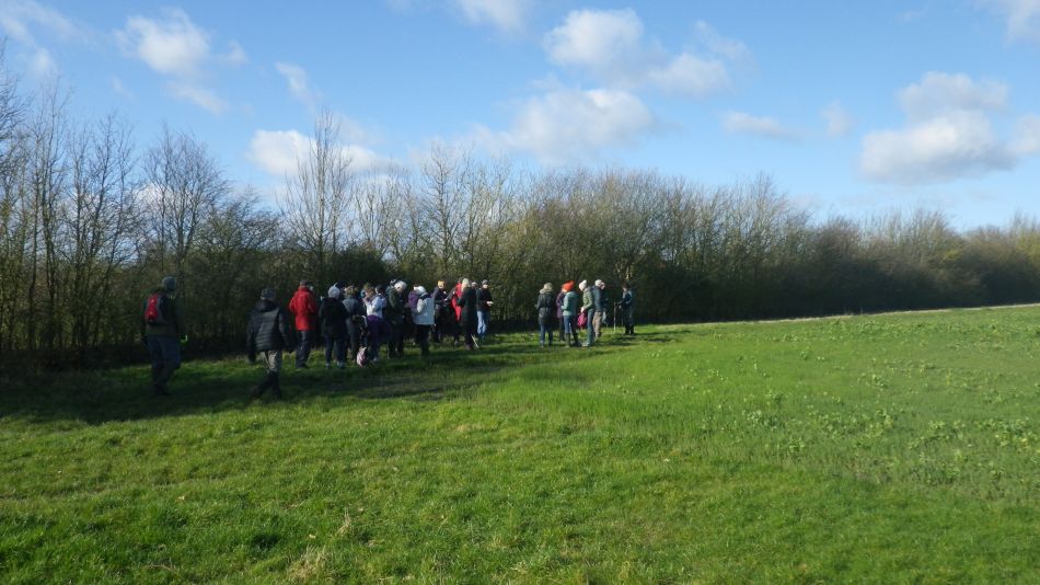 2020-02-12 06 Bramfield.jpg