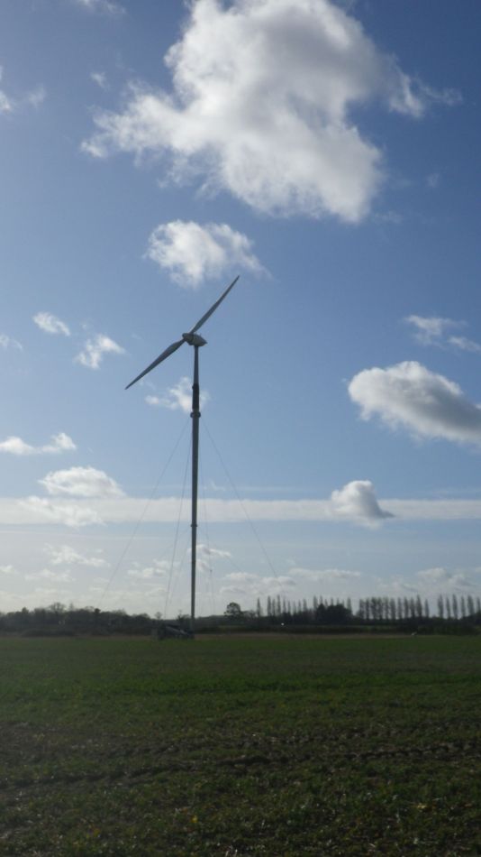 2020-02-12 08 Bramfield.jpg