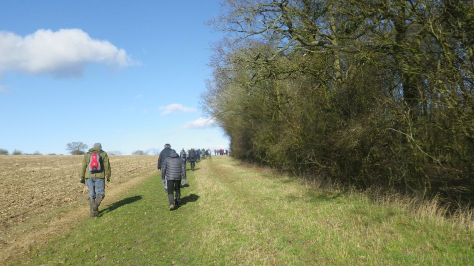 2020-02-12 09 Bramfield.jpg