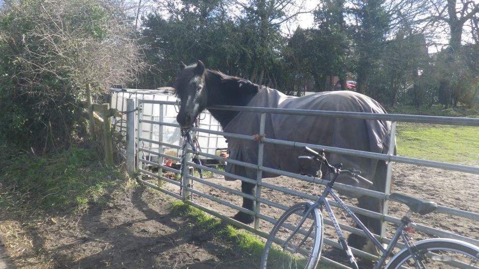 2020-02-12 17 Bramfield.jpg